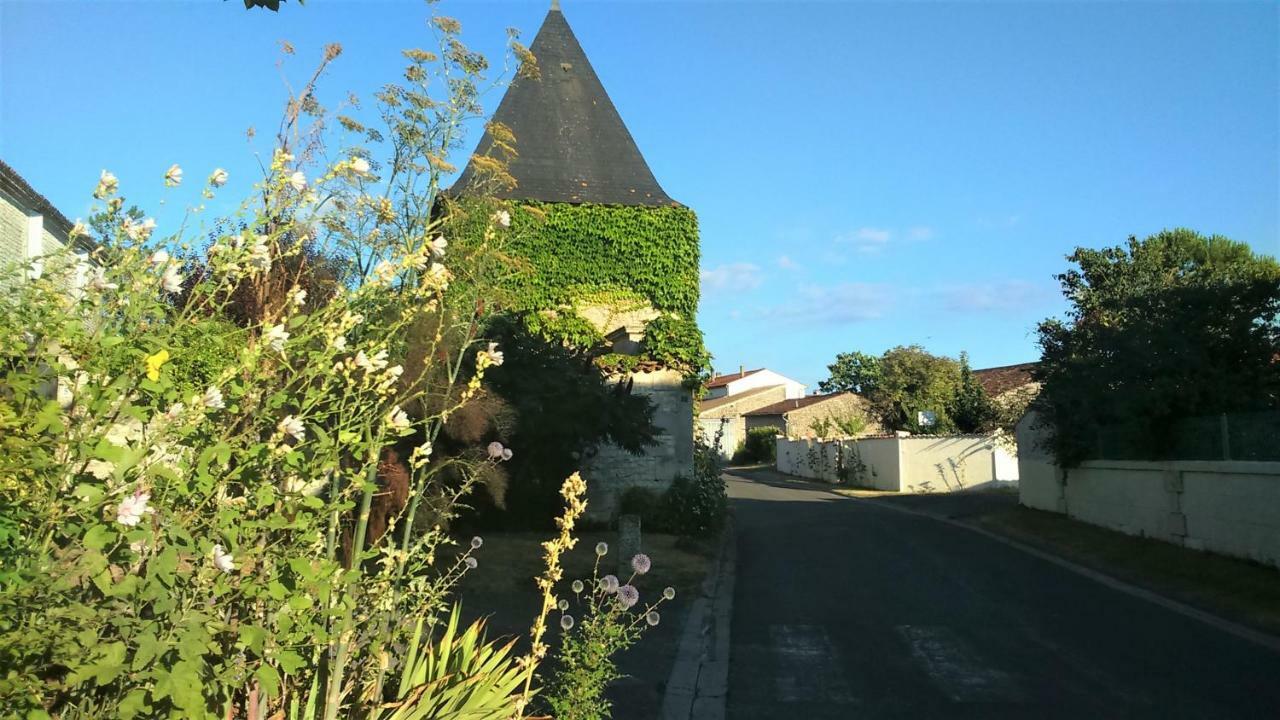 Les Gites Du Vigneron Et Cd'H Saint-Seurin-de-Palenne Dış mekan fotoğraf