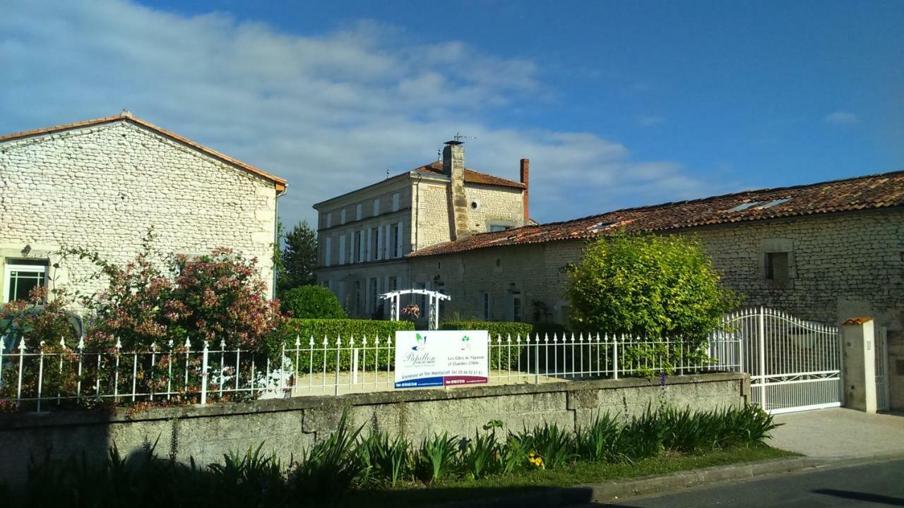 Les Gites Du Vigneron Et Cd'H Saint-Seurin-de-Palenne Dış mekan fotoğraf